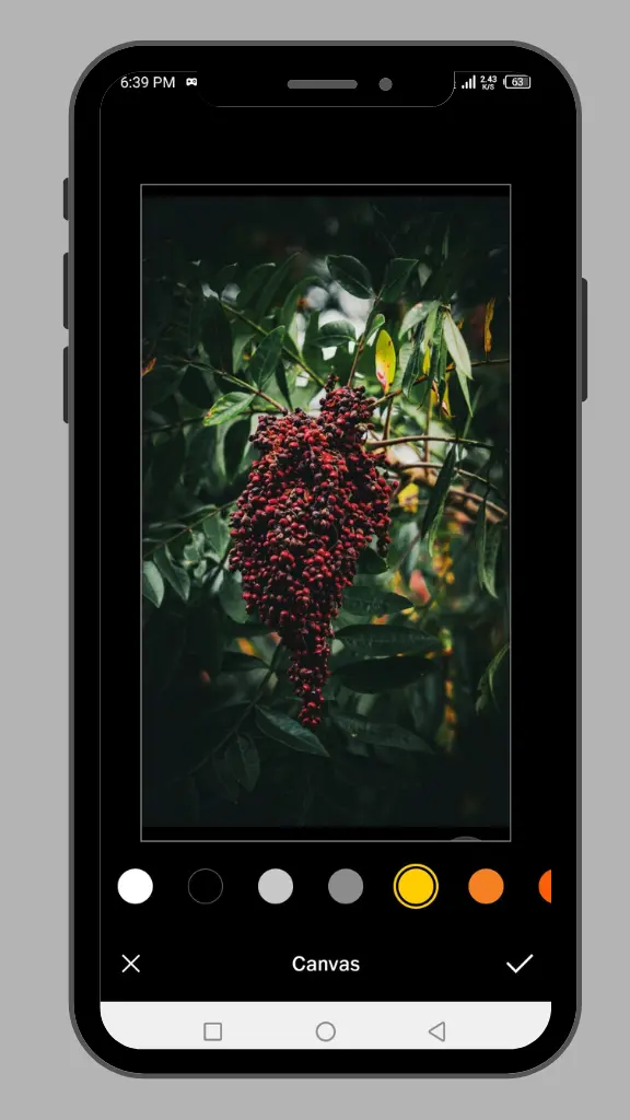 VSCO mod apk HSL tool screenshot