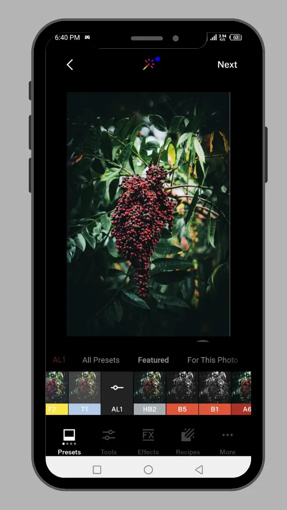 VSCO filters option screenshot